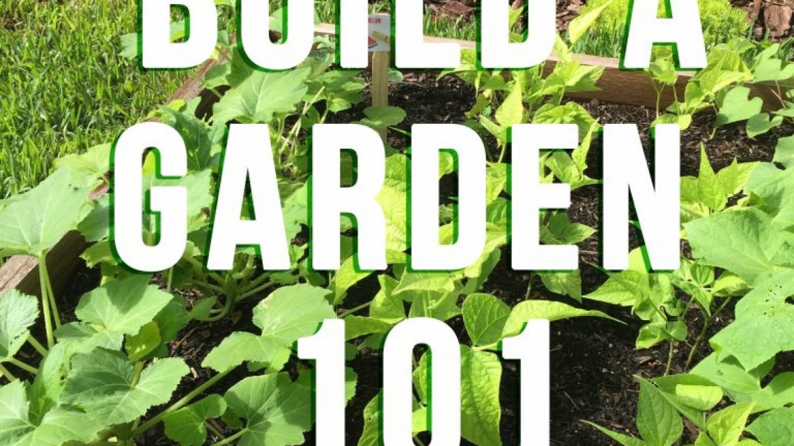How to Build a Garden 101