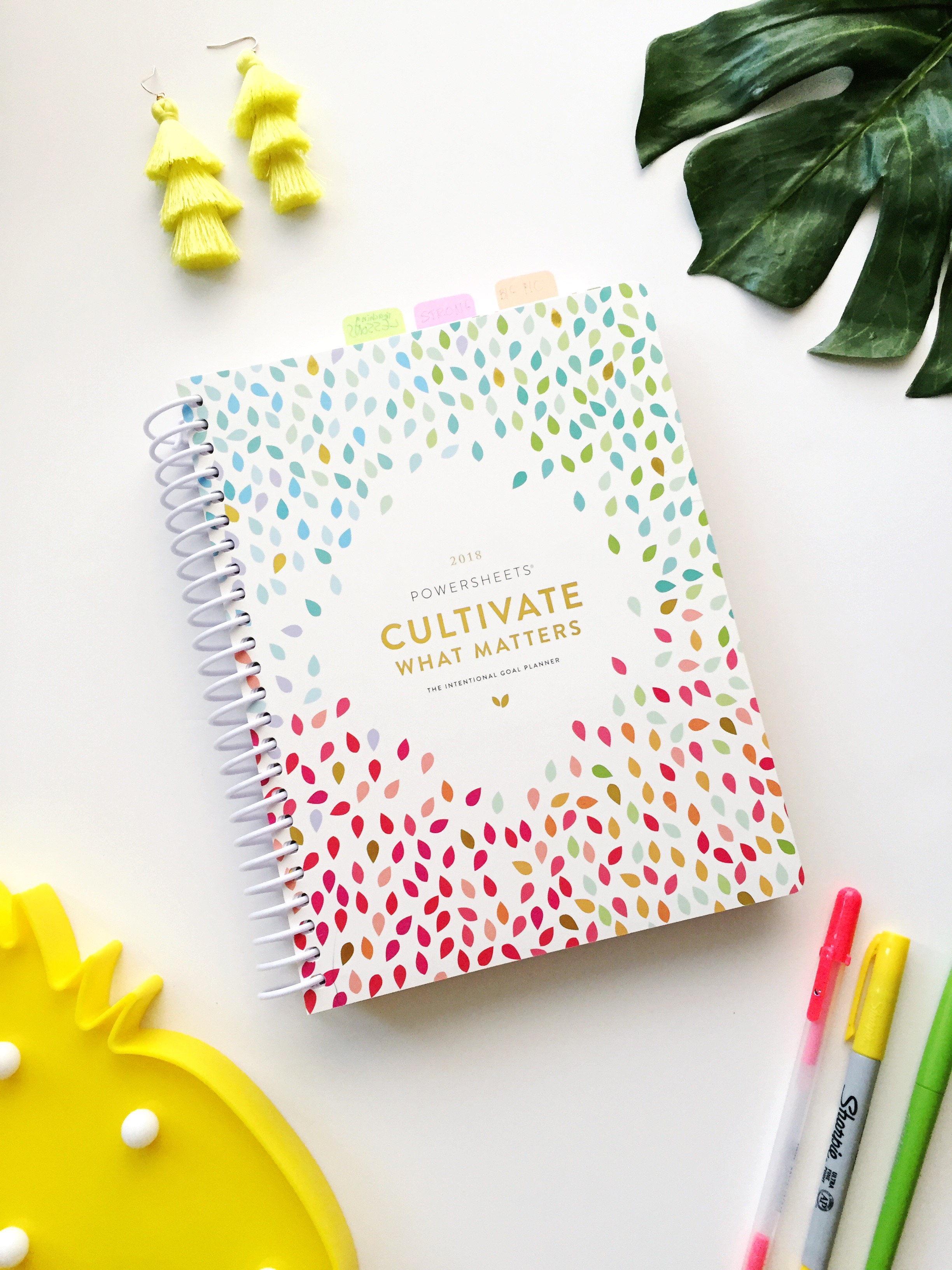 How to Plan Goals / How to Set Goals and Achieve Them / Goal Setting / Powersheets 2019 Intentional Goal Planner / Lara Casey Powersheets / See my 2019 Goals on Sunshine Style, www.thesunshinestyle.com