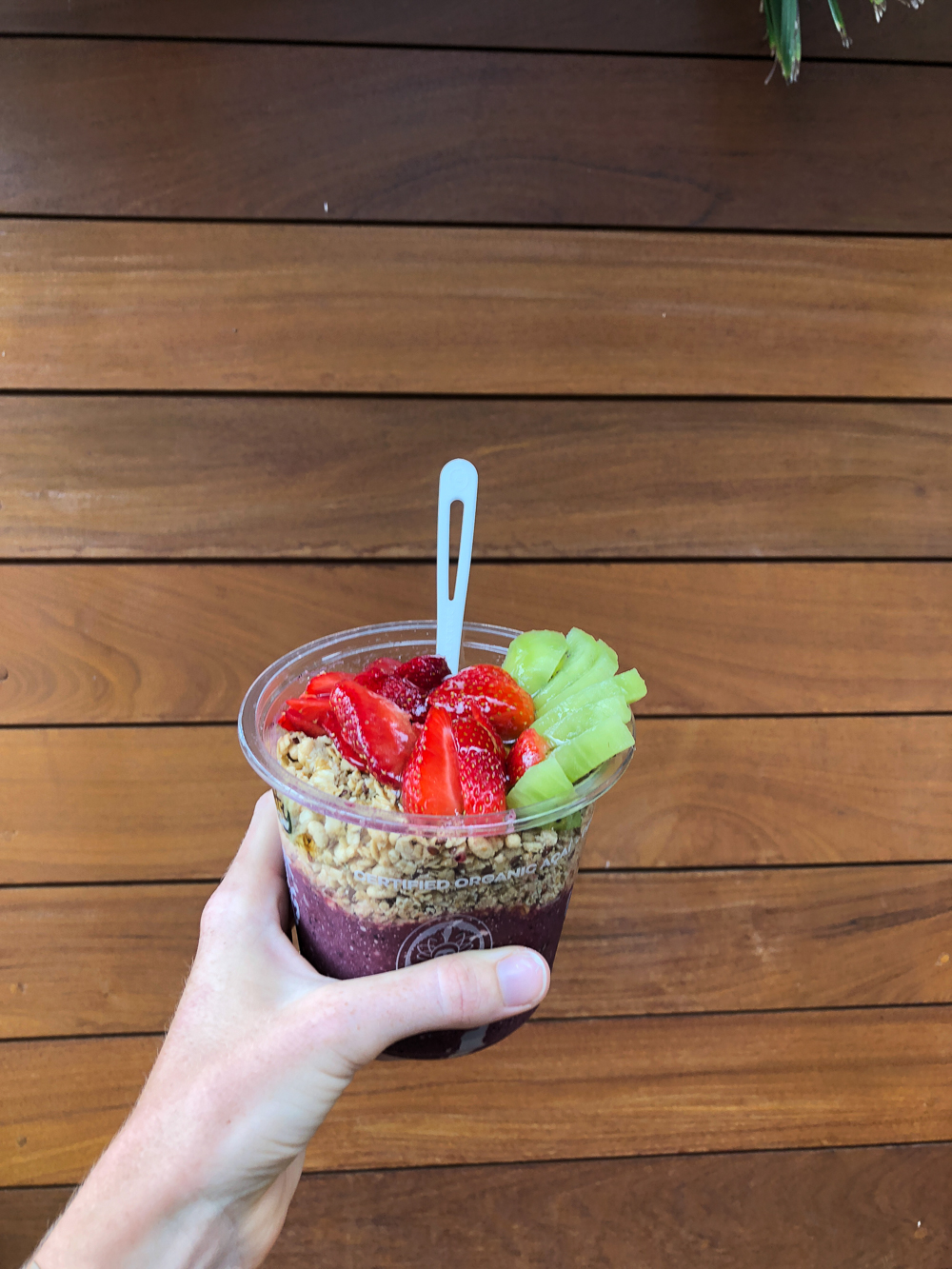 The Ultimate Oahu Travel Guide for the Adventurer - Acai Bowls, North Shore Oahu | Sunshine Style