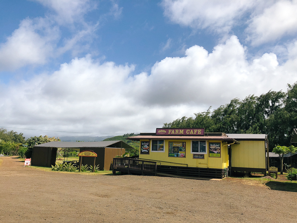 The Ultimate Oahu Travel Guide for the Adventurer - Kahuku Farms North Shore Oahu | Sunshine Style