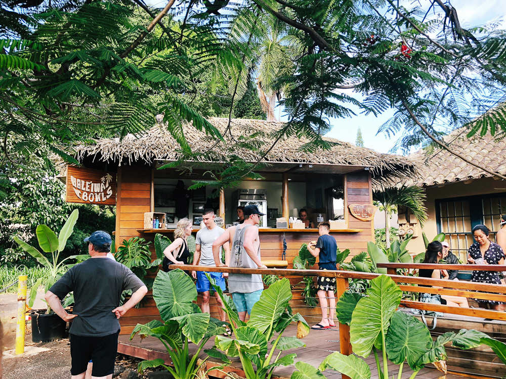 The Ultimate Oahu Travel Guide for the Adventurer - Haleiwa Bowls North Shore Oahu