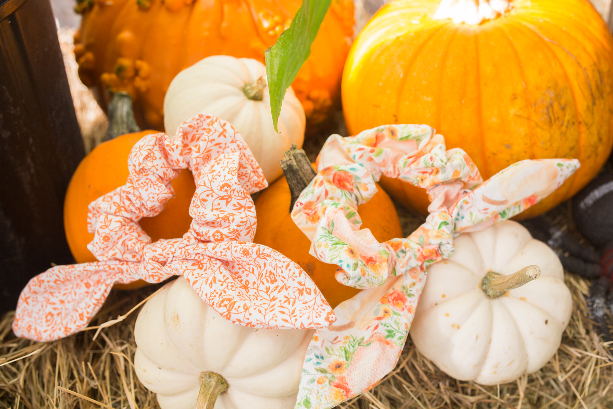 Pumpkin Patch / Pumpkin Fall Scrunchie / Bow Scrunchie / Fall Outfit Women / Fall Outfit Ideas Casual / Fall Fashion Outfits / Fall Style - Sunshine Style - A Florida Fashion and Lifestyle Blog by Katie