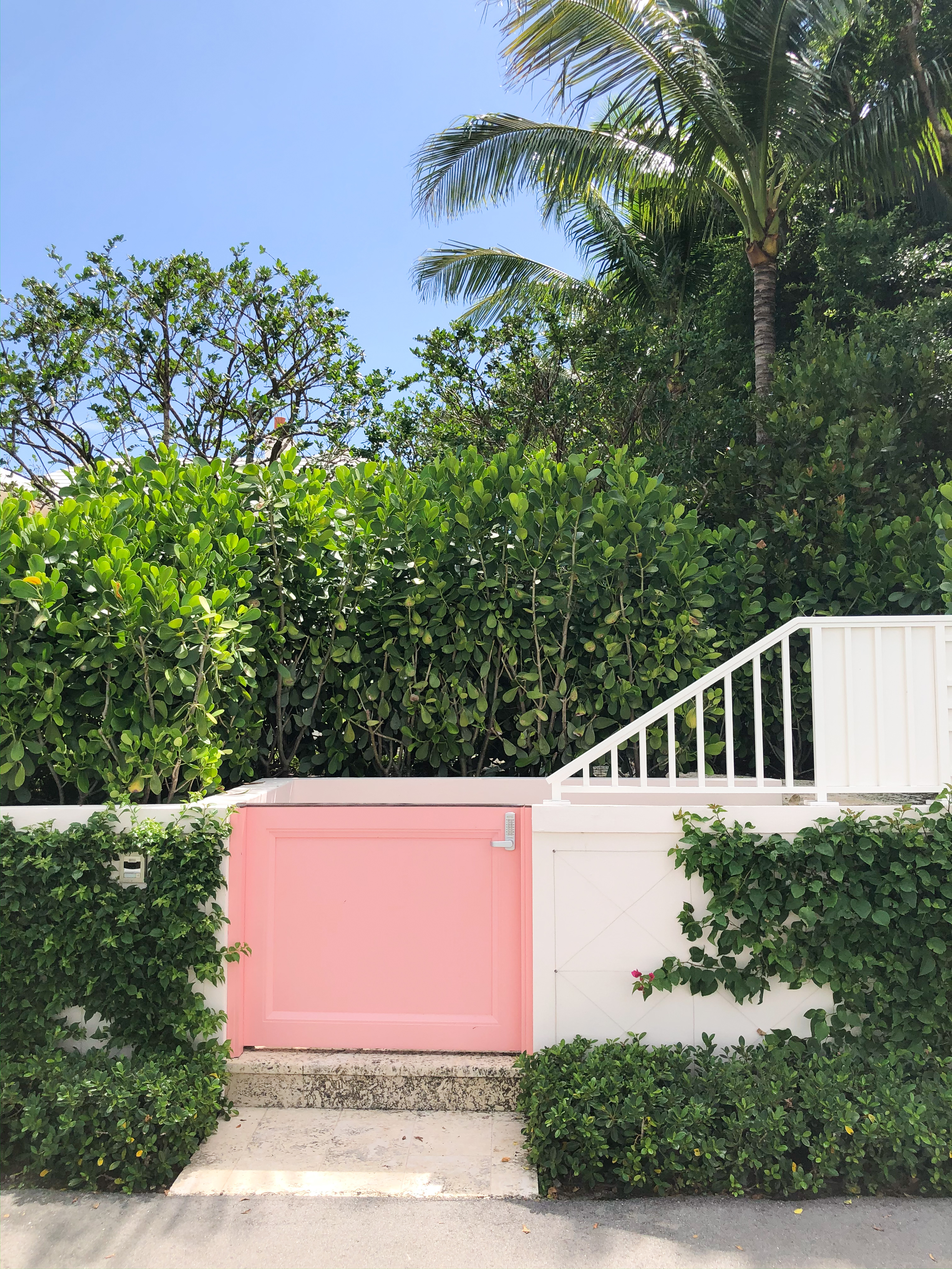 24 Hour Palm Beach Travel Guide / Palm Beach Lake Trail / Palm Beach, Florida / Palm Beach Style / Pink Door  - Sunshine Style, A Classica and Coastal Style and Lifestyle Blog by Katie 