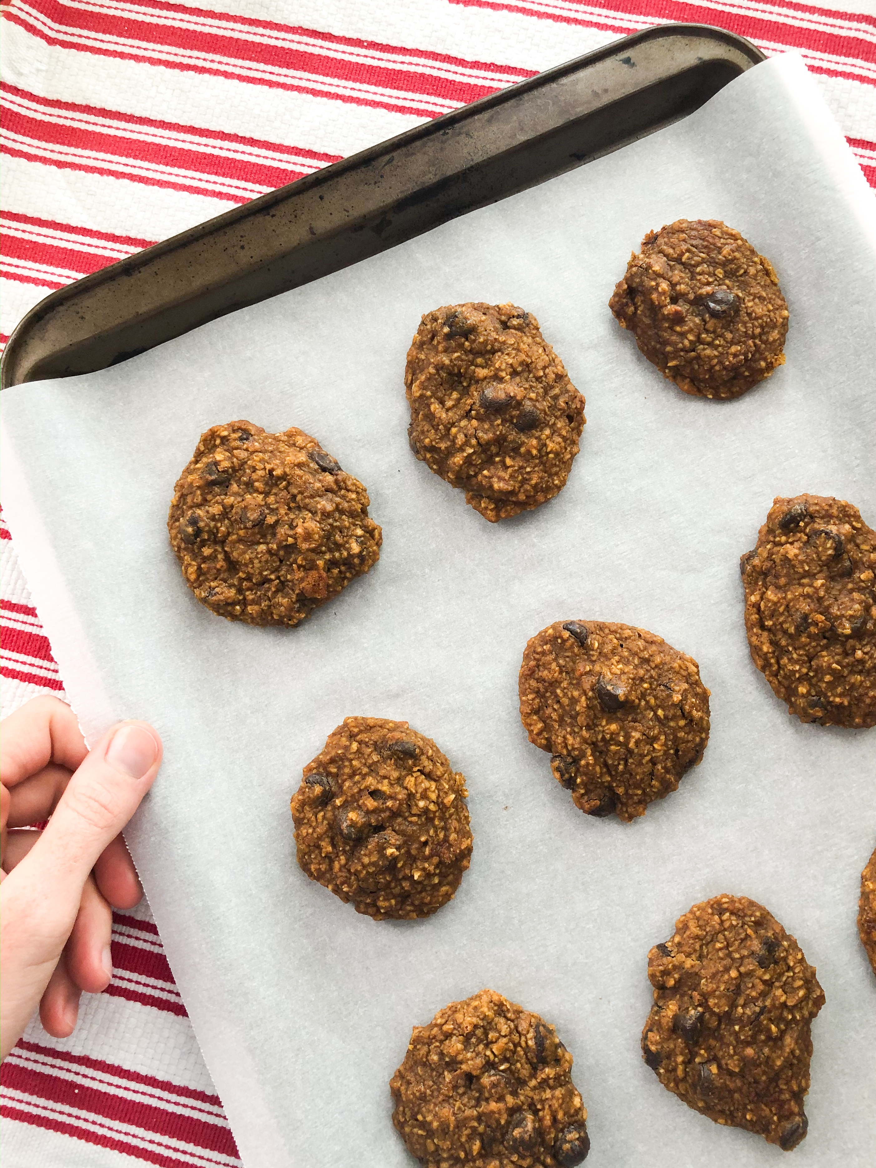 Gluten and Diary Free Healthy Pumpkin Chocolate Chip Cookie Recipes - Sunshine Style 