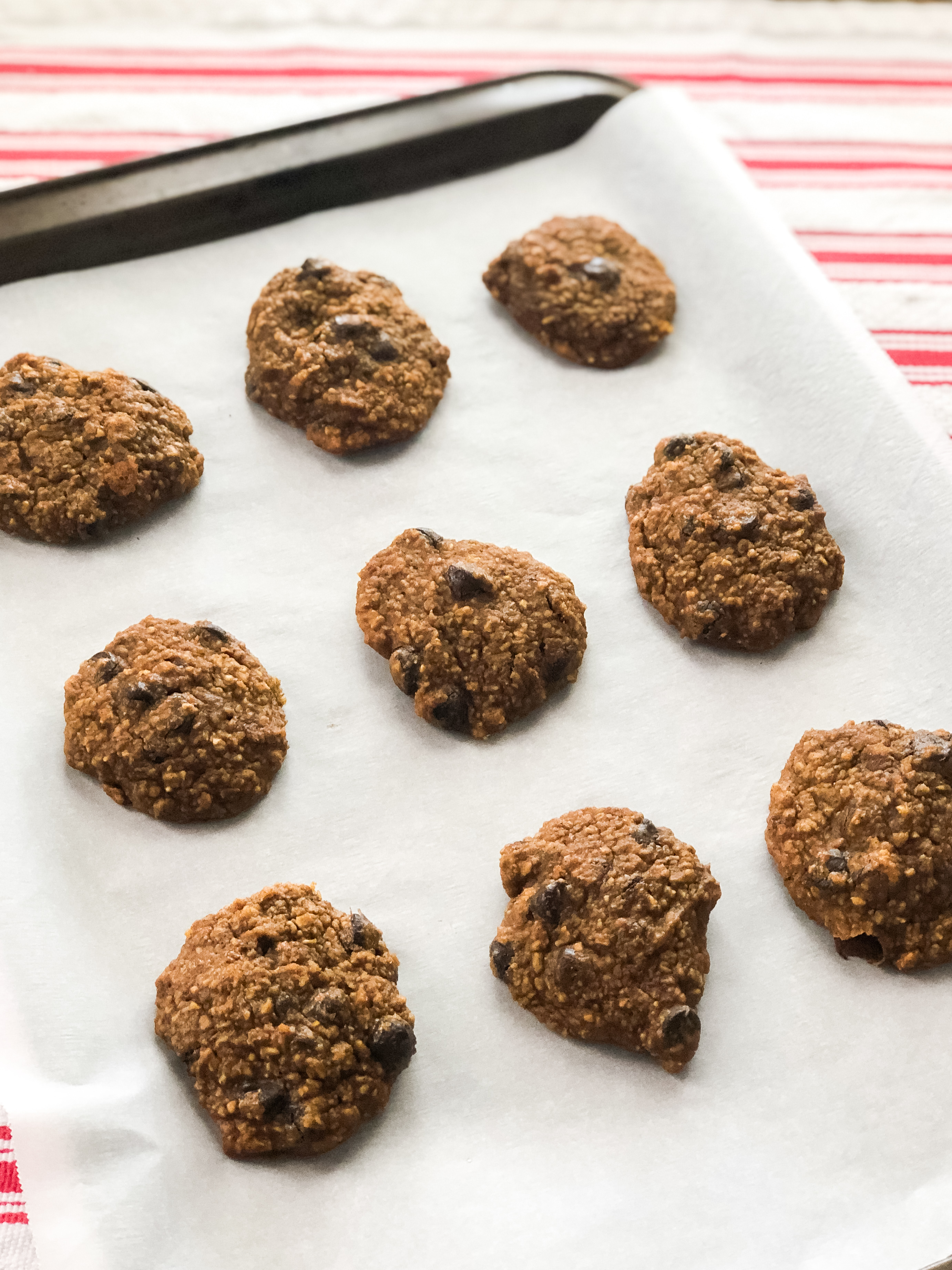 Gluten and Diary Free Healthy Pumpkin Chocolate Chip Cookie Recipes - Sunshine Style 
